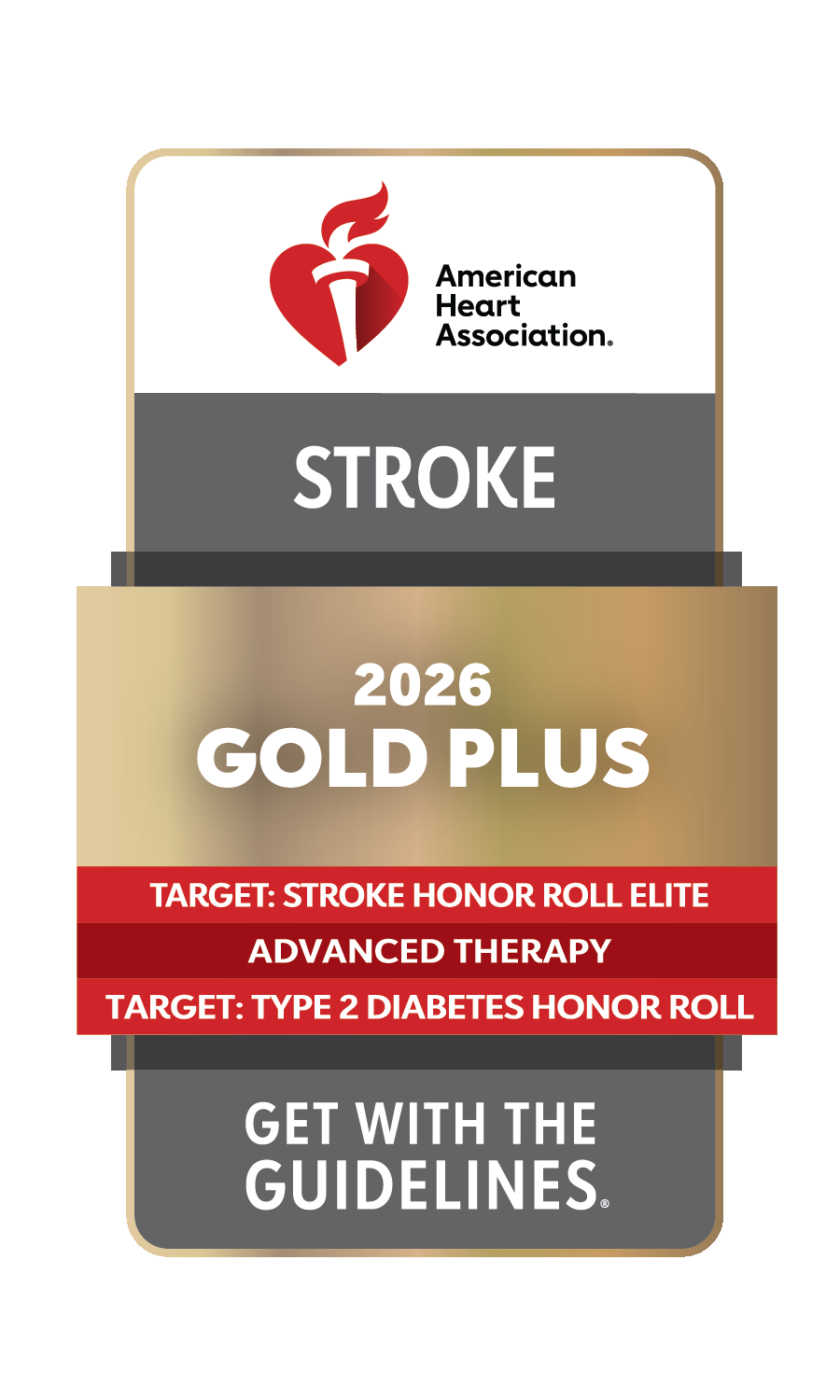 3dfe52e9-6ee1-43f5-b0be-44f1e889a31e Gold Plus badge in Stroke from the American Heart Association.